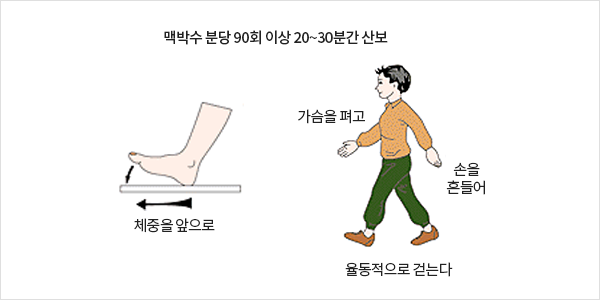 맥박수 분당 90회 이상 0~30분간 산보 / 체중을 앞으로 가슴을 펴고 손을 흔들며 율동적으로 걷는다